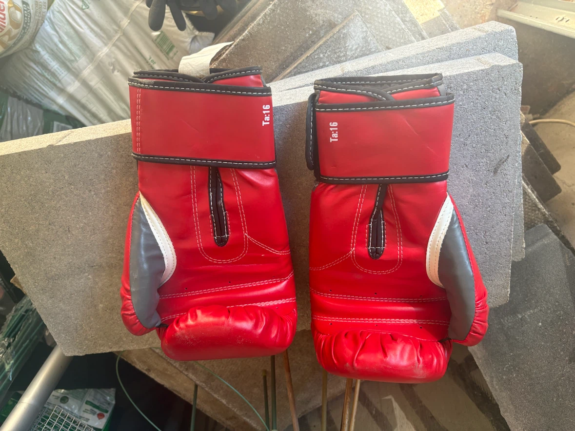 Everlast Boxing Gloves
