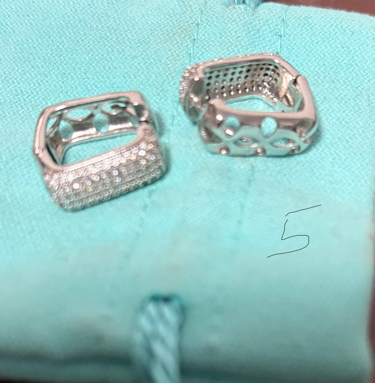 Enclosure Hoop Earrings