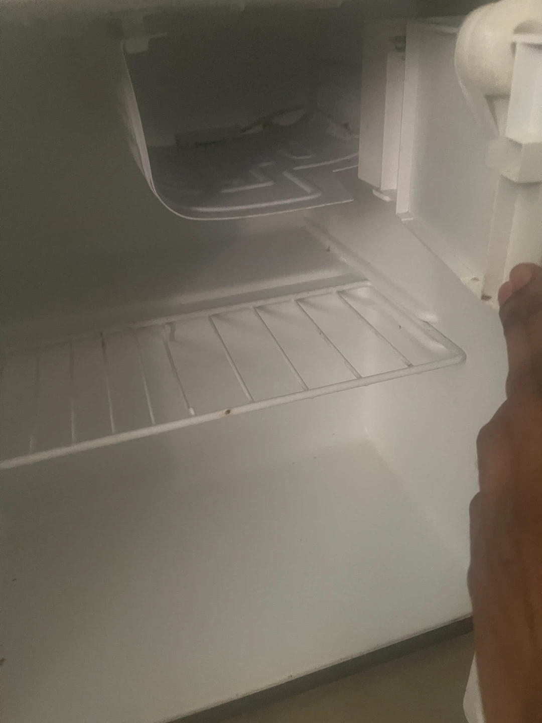 Compact Black Mini Fridge - photo 3