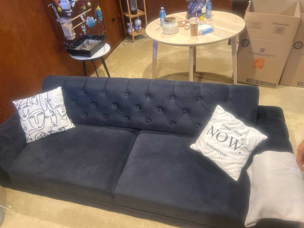 Dark Blue Velvet Sofa Bed