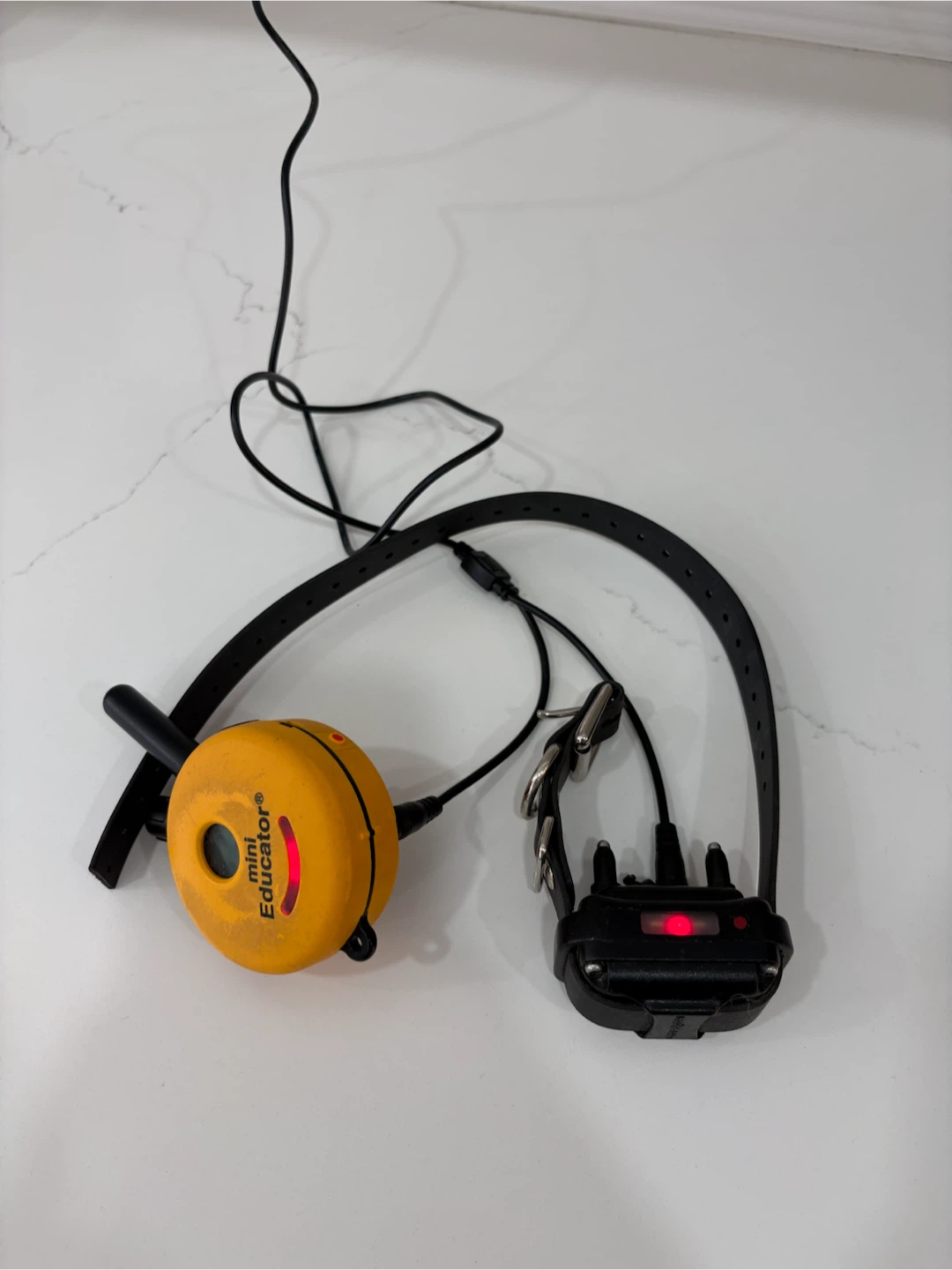 Mini Educator Dog Training Collar