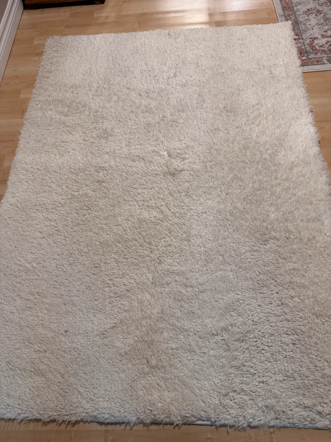 White Shag Area Rug (2 of the same)