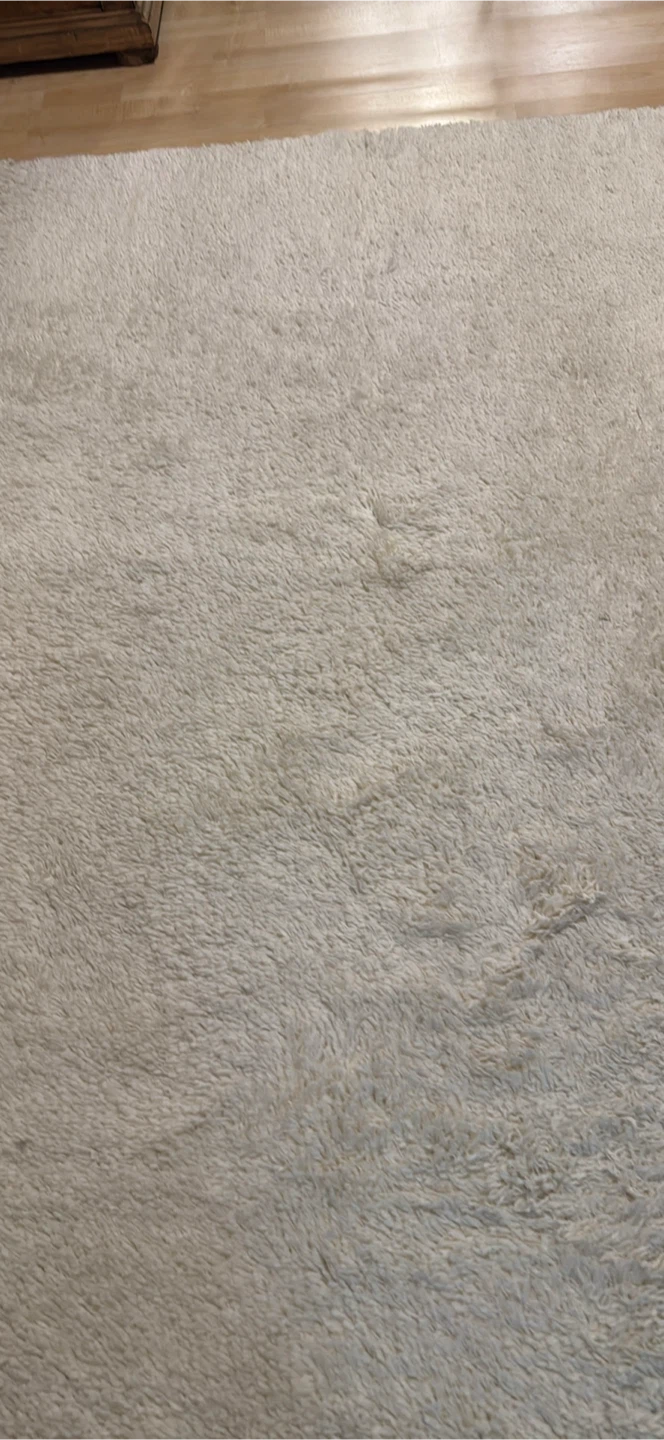 White Shag Area Rug (2 of the same) - photo 2