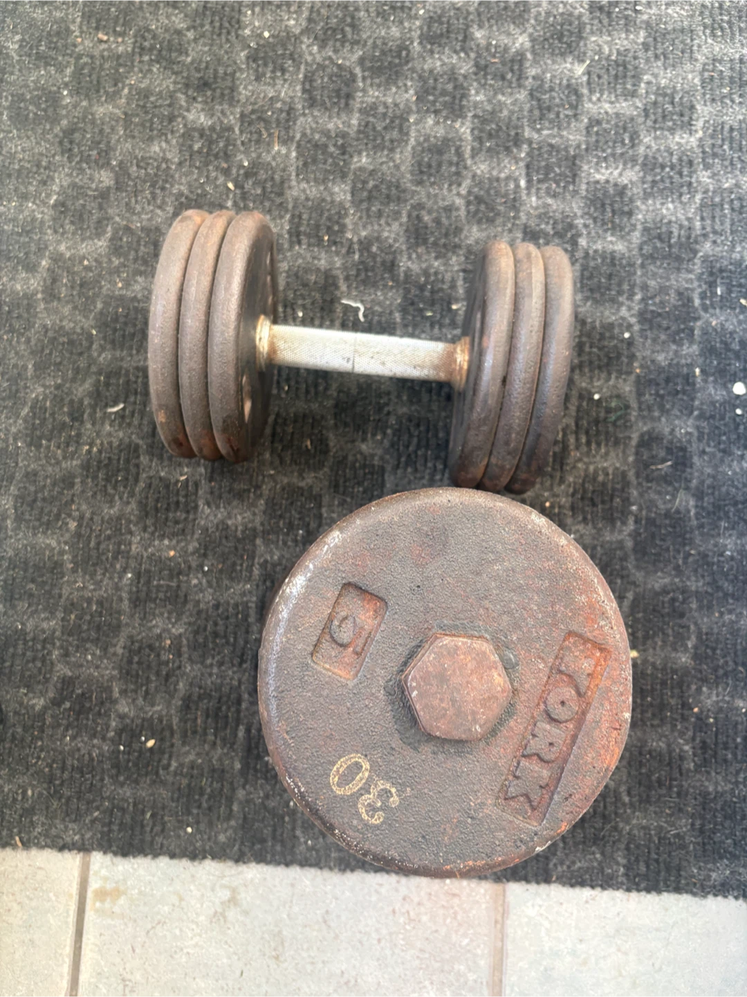 York 30 lb Cast Iron Dumbbells