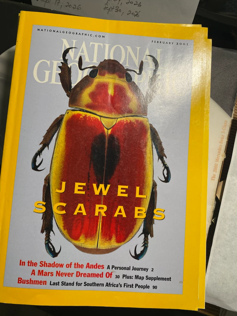 National Geographic February 2001 Magazine