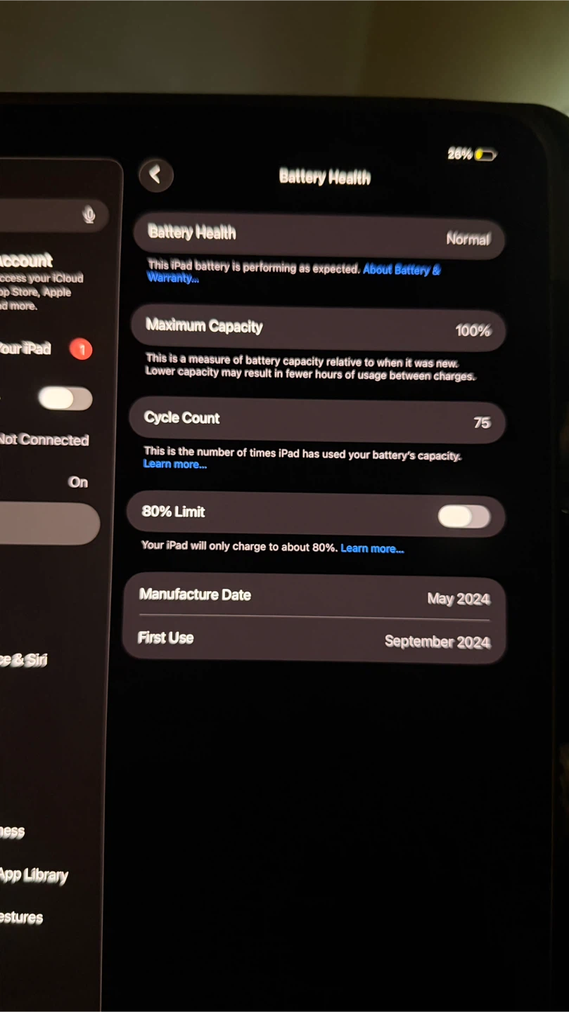 Ipad Pro 11 inch (M4) - photo 4