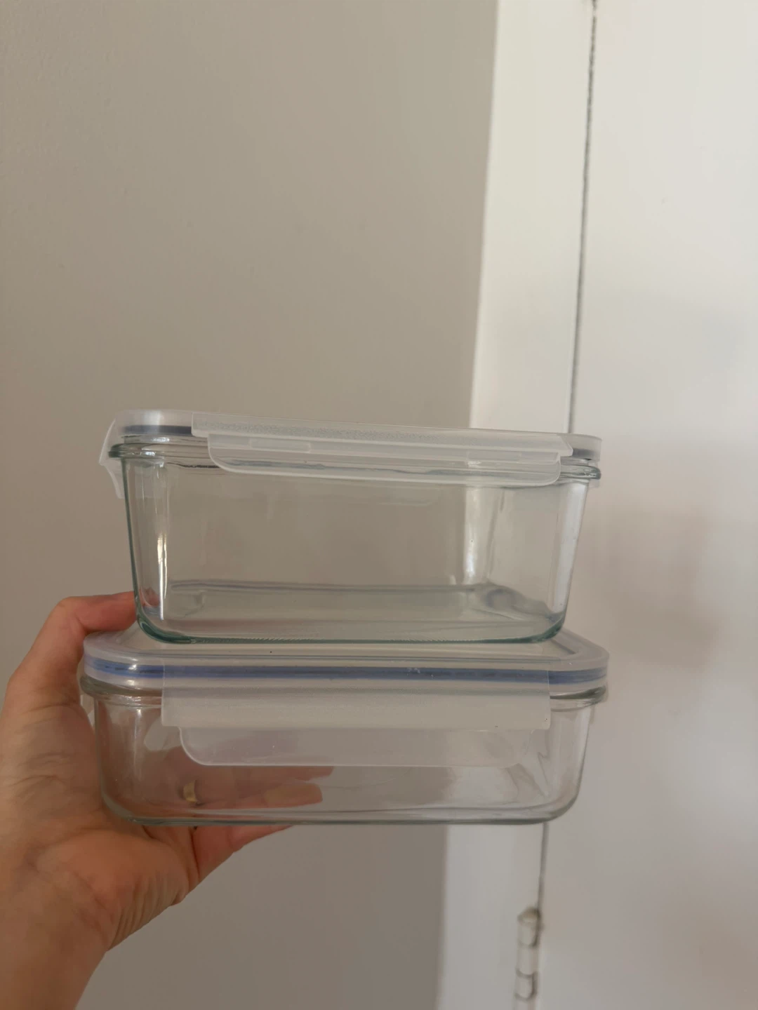 Snapware Glass Food Storage Containers