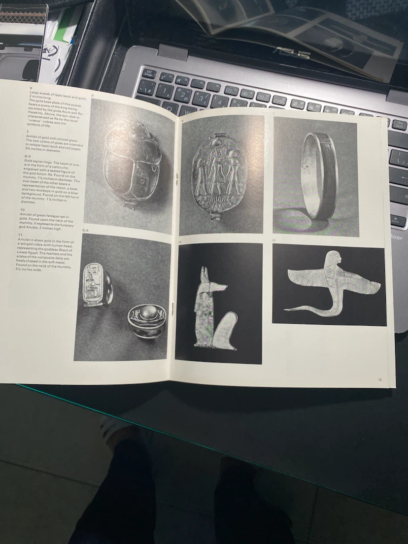 Tutankhamun Treasures Book - photo 2