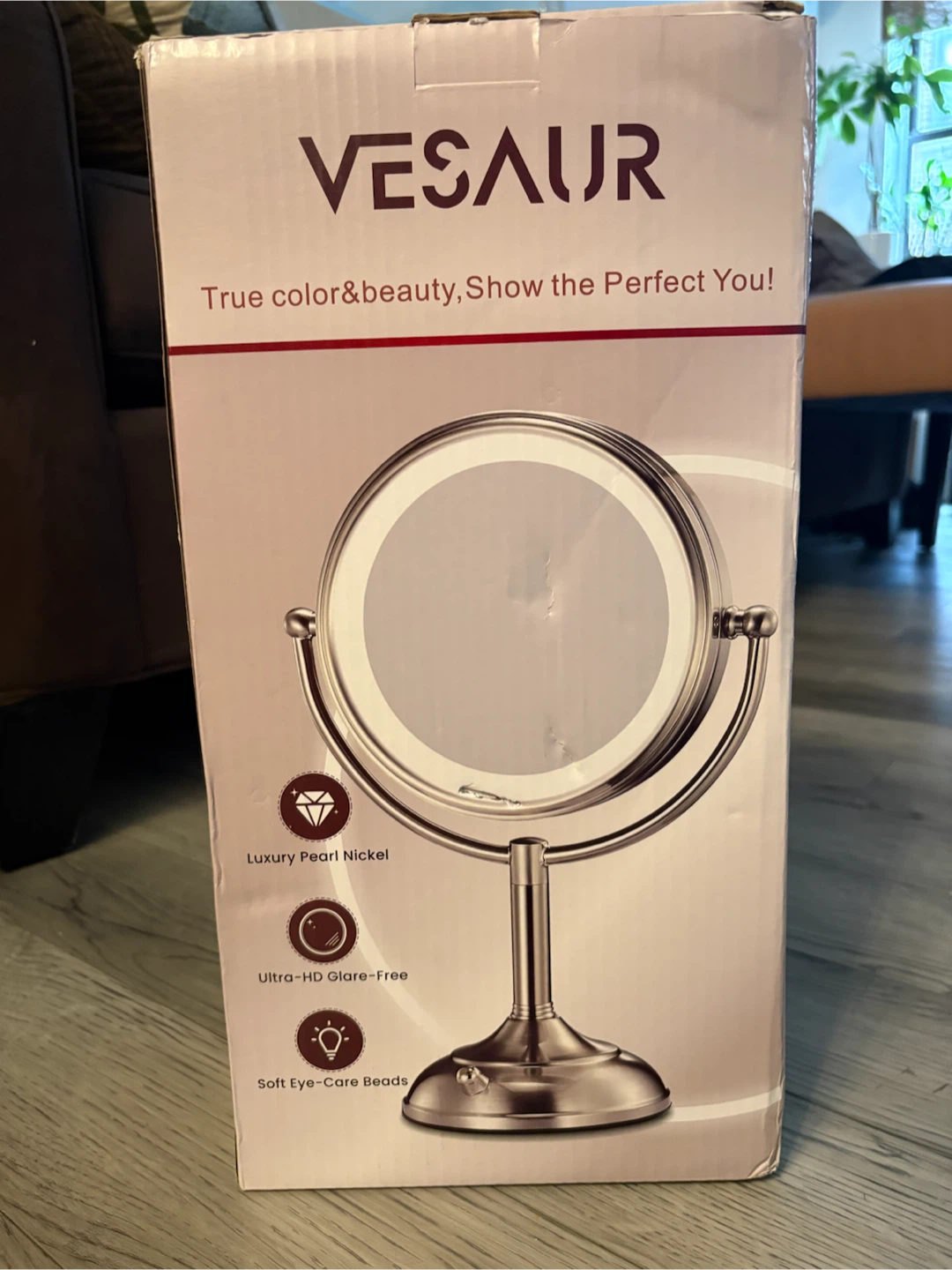 Vesaur Lighted Vanity Mirror