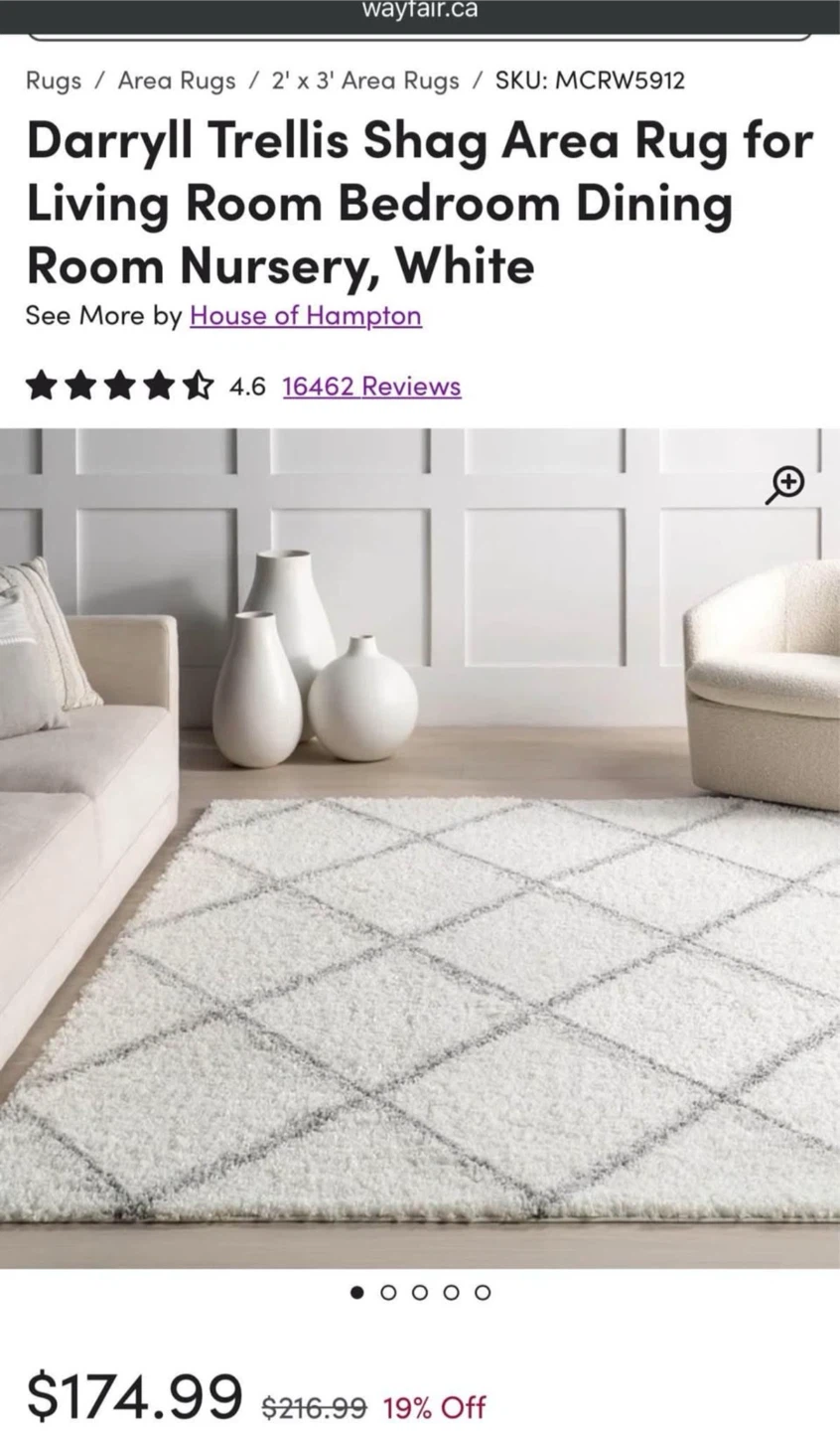 Shag area rug