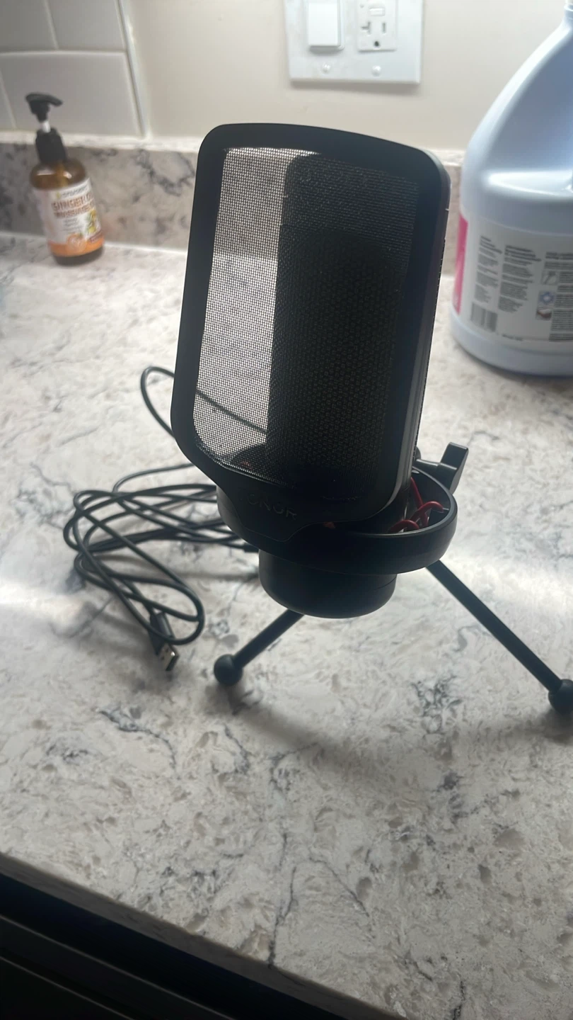 Microphone