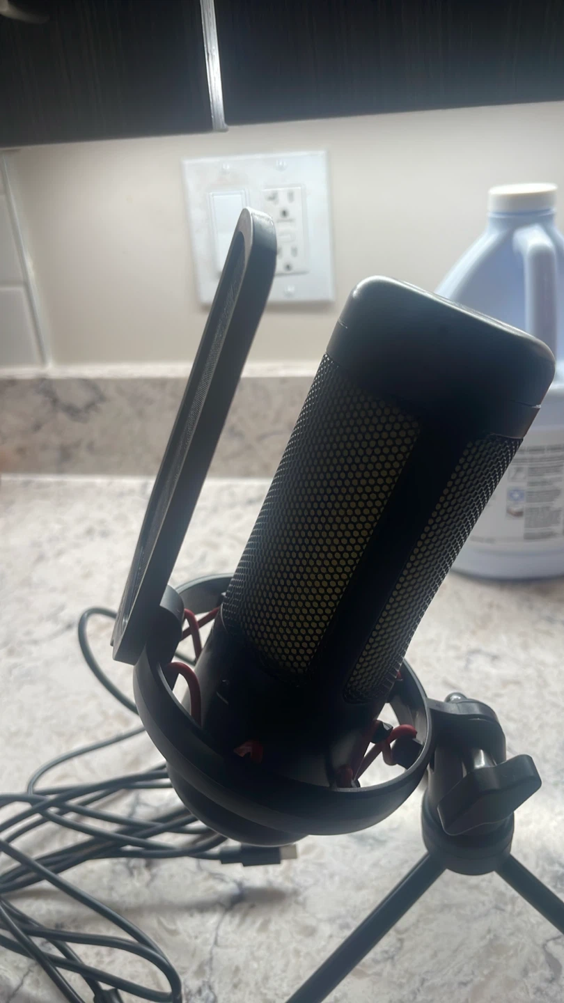 Microphone - photo 2