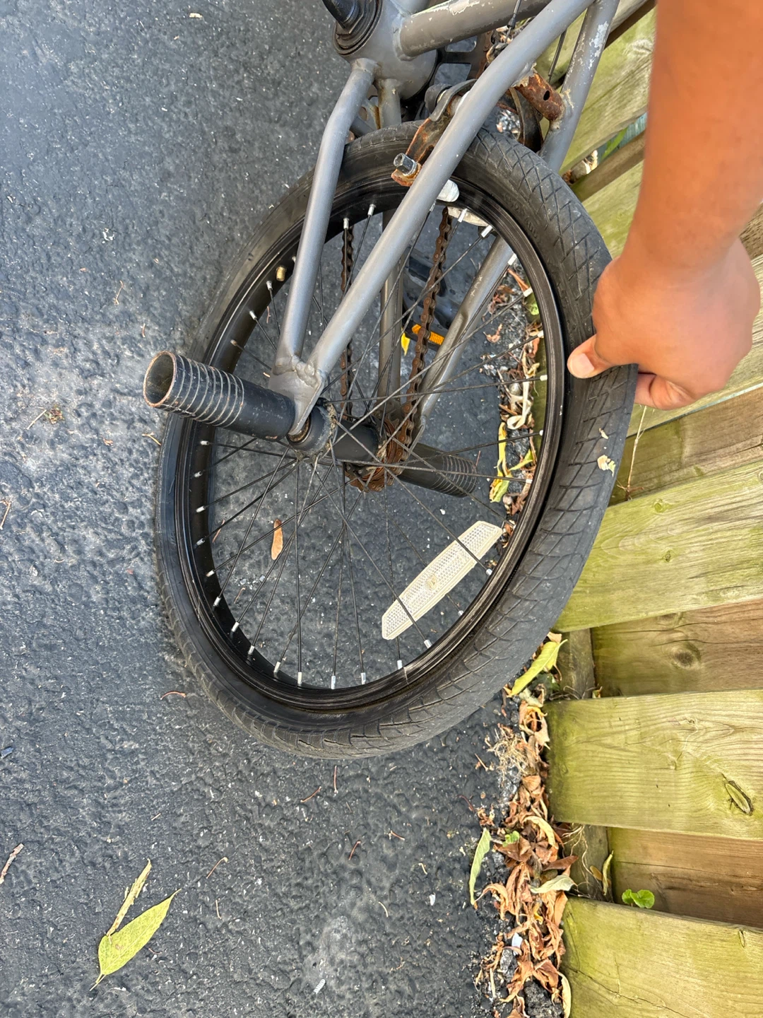 Radio Lieutenant BMX Bike /only cash obo - photo 3