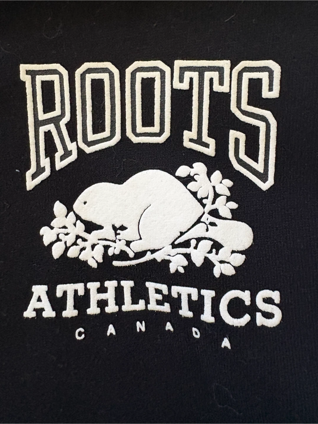 Roots Athletics Canada Varsity Jacket - photo 4