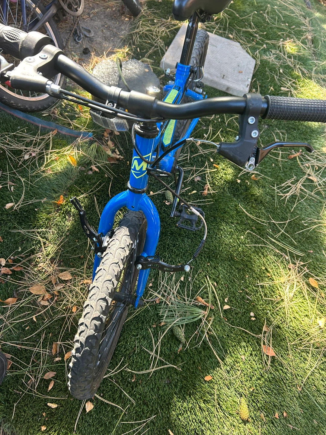 Movelo Algonquin 18 inch Boys Bike