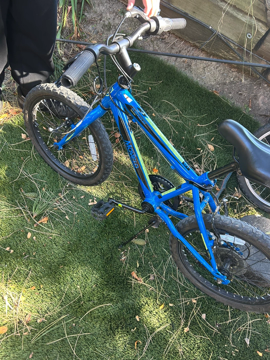 Movelo Algonquin 18 inch Boys Bike - photo 2