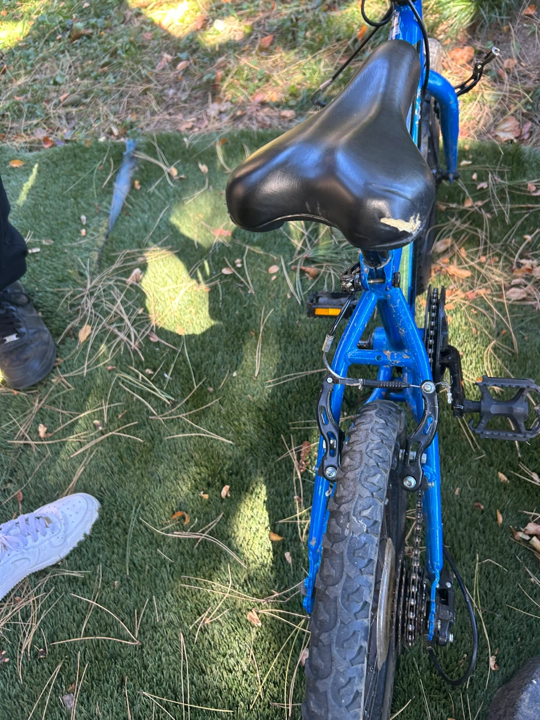 Movelo Algonquin 18 inch Boys Bike - photo 3