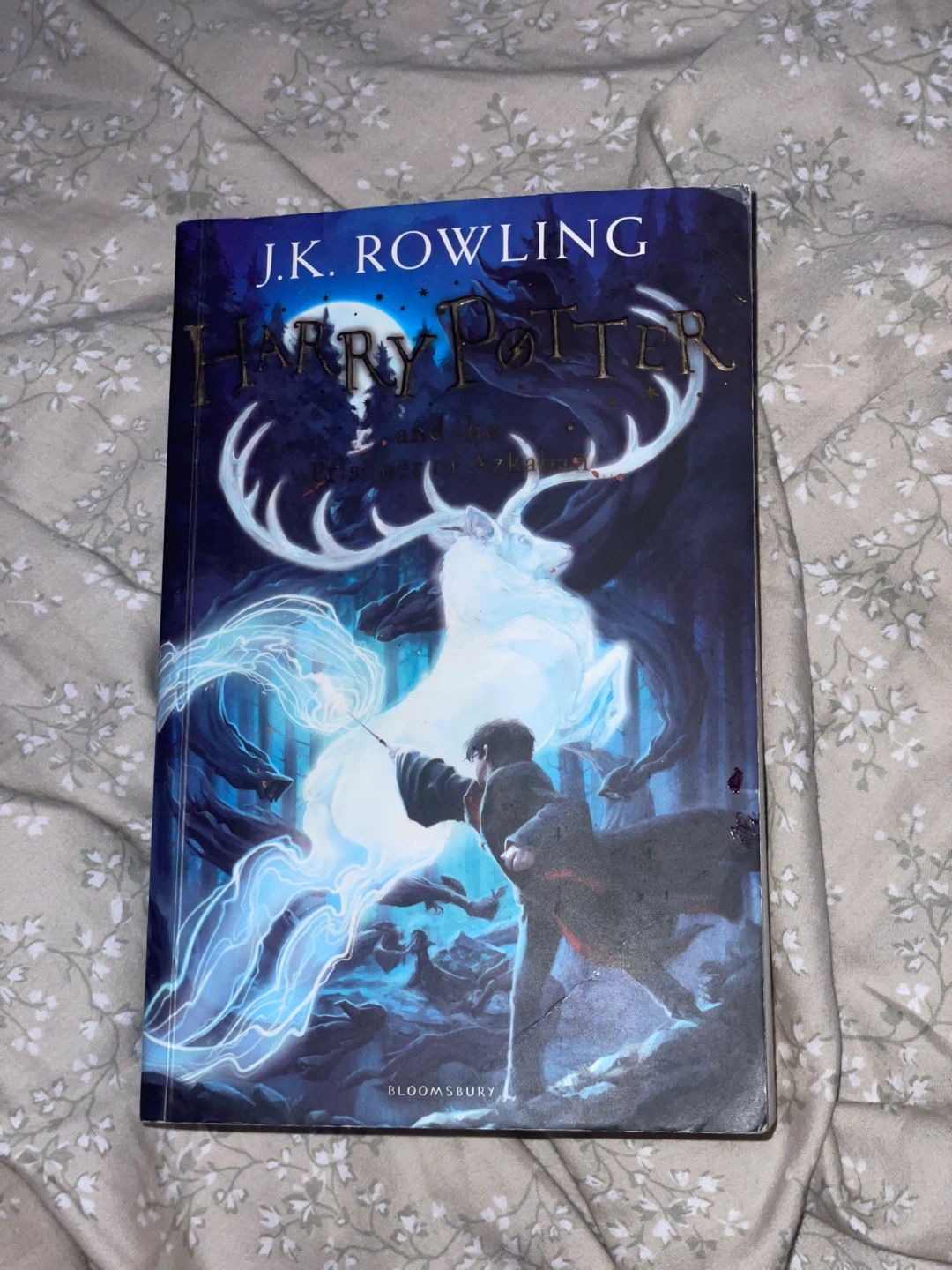 Harry Potter and the Prisoner of Azkaban Book