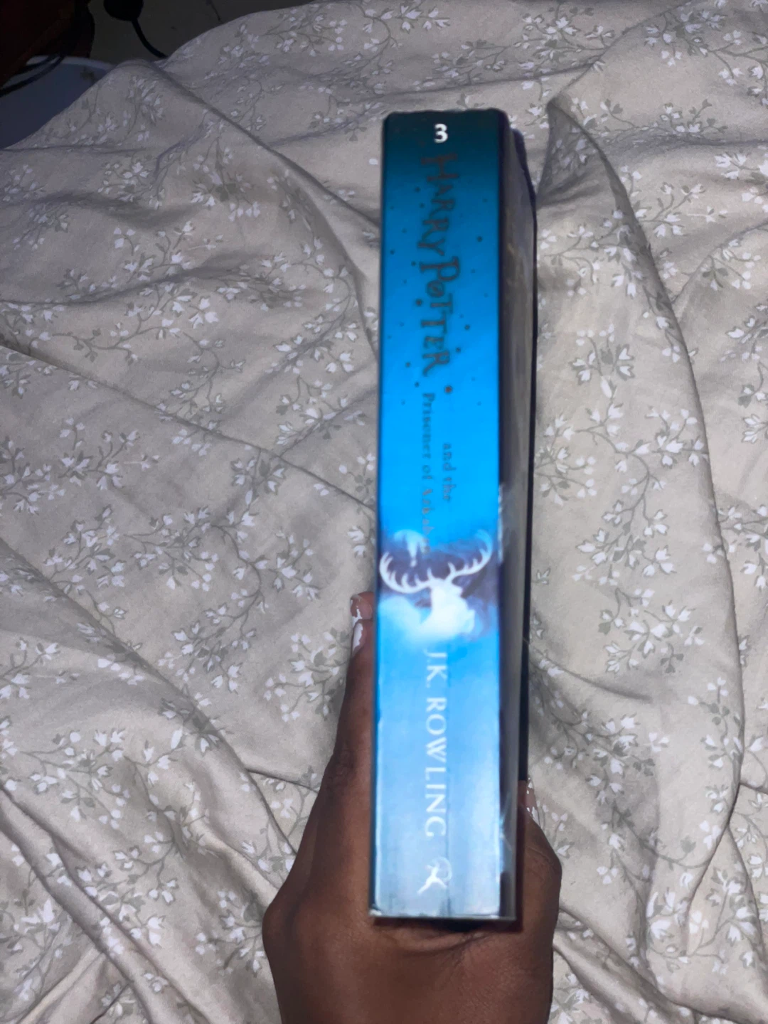 Harry Potter and the Prisoner of Azkaban Book - photo 2