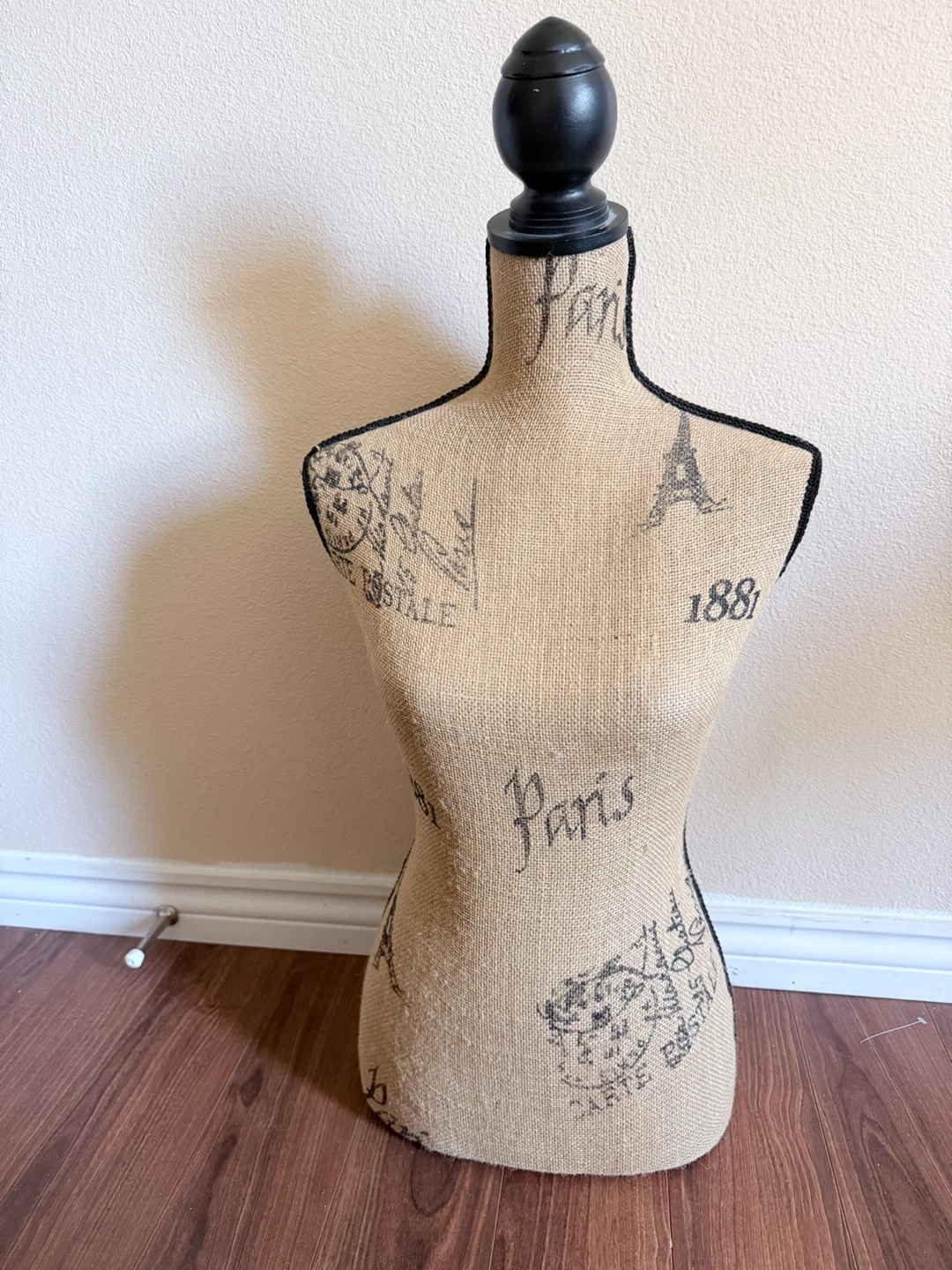 Paris Theme Mannequin Torso