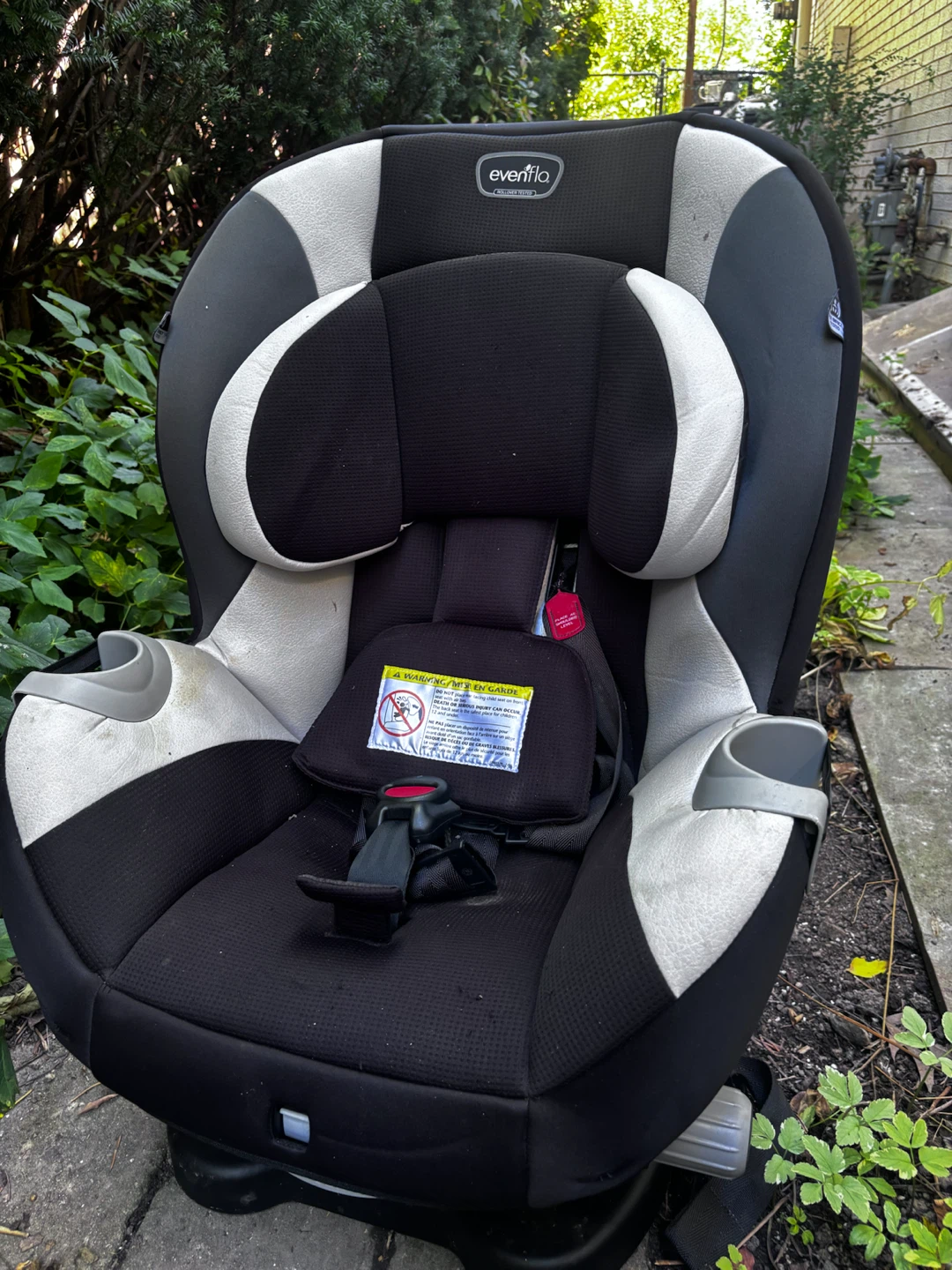 Evenflo Triumph Convertible Car Seat