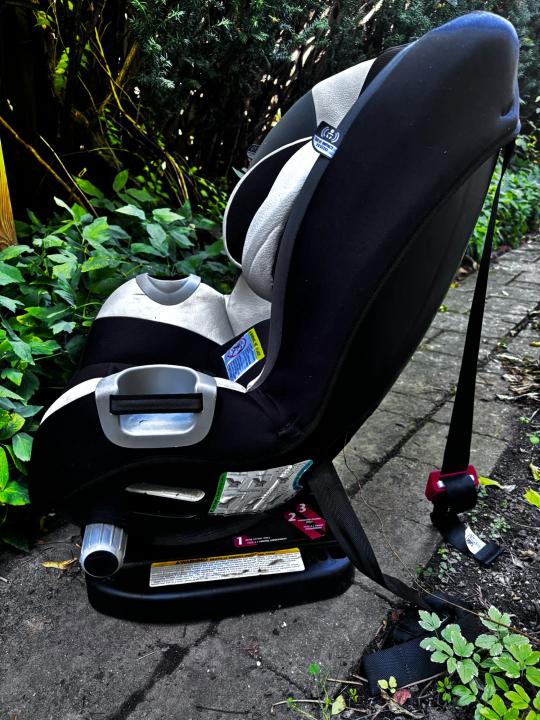 Evenflo Triumph Convertible Car Seat - photo 2