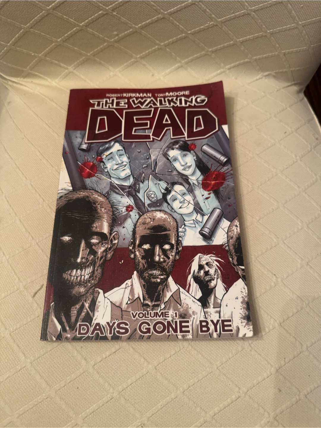 The Walking Dead Vol. 1: Days Gone Bye