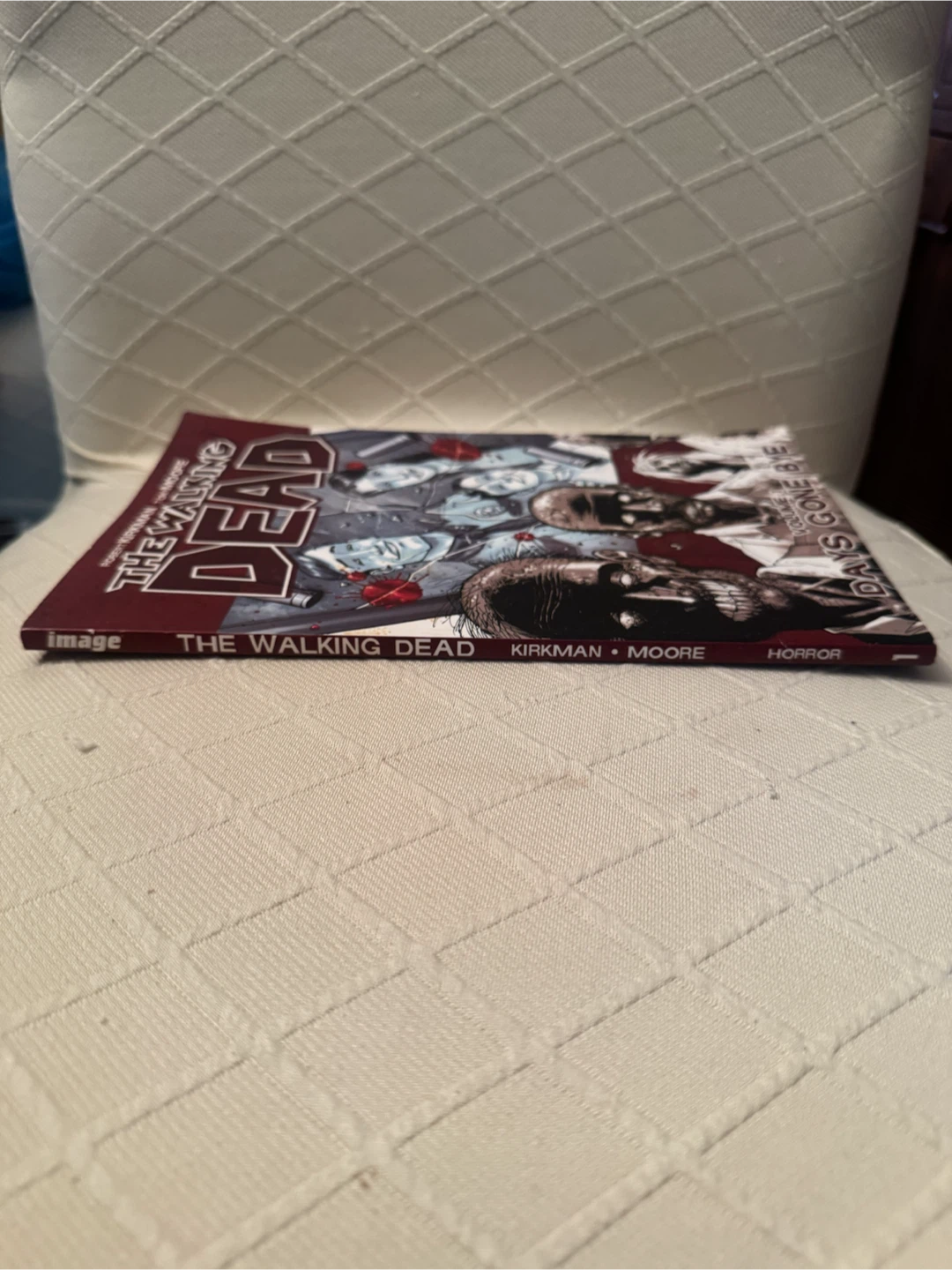 The Walking Dead Vol. 1: Days Gone Bye - photo 2