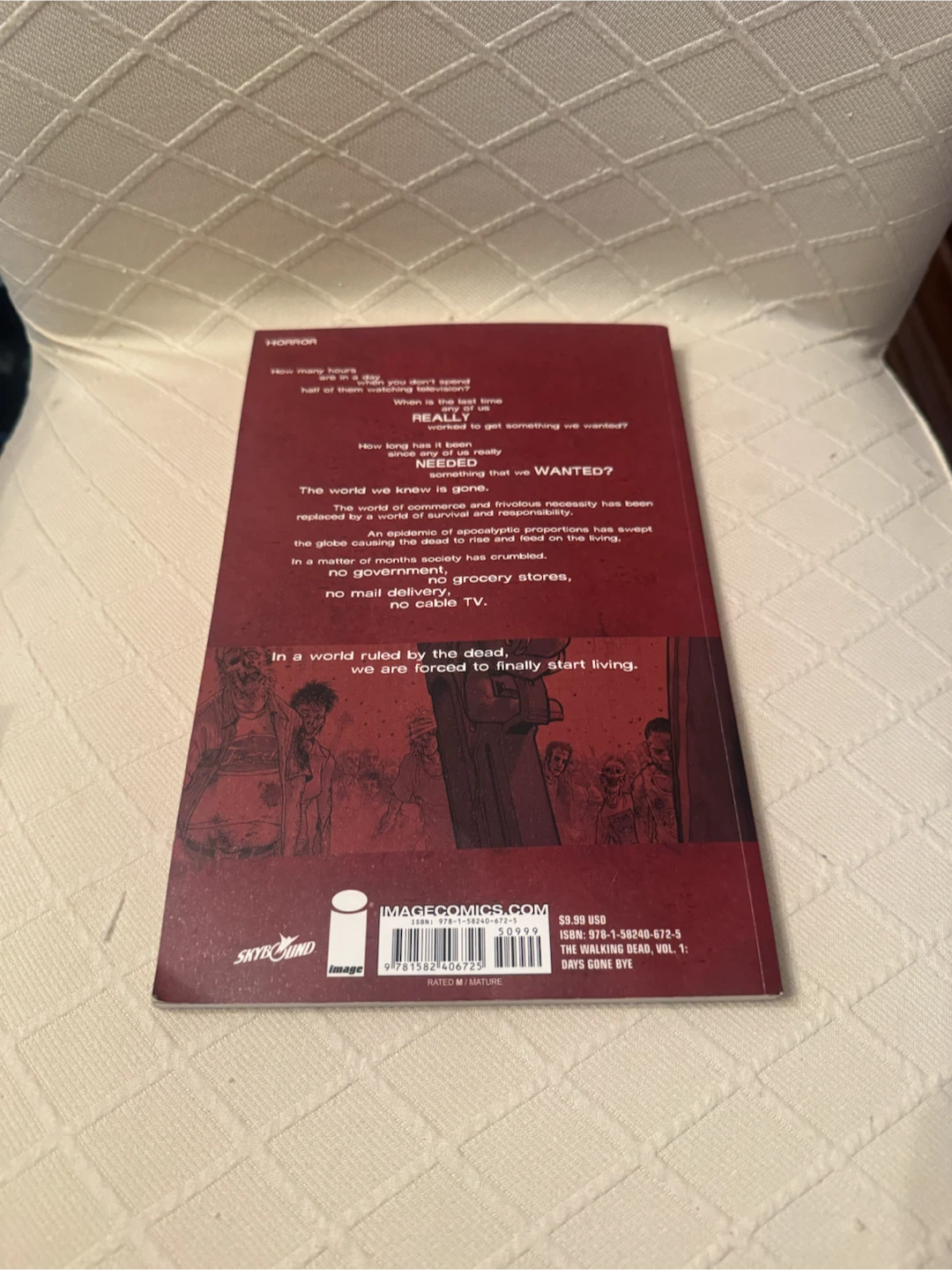 The Walking Dead Vol. 1: Days Gone Bye - photo 3