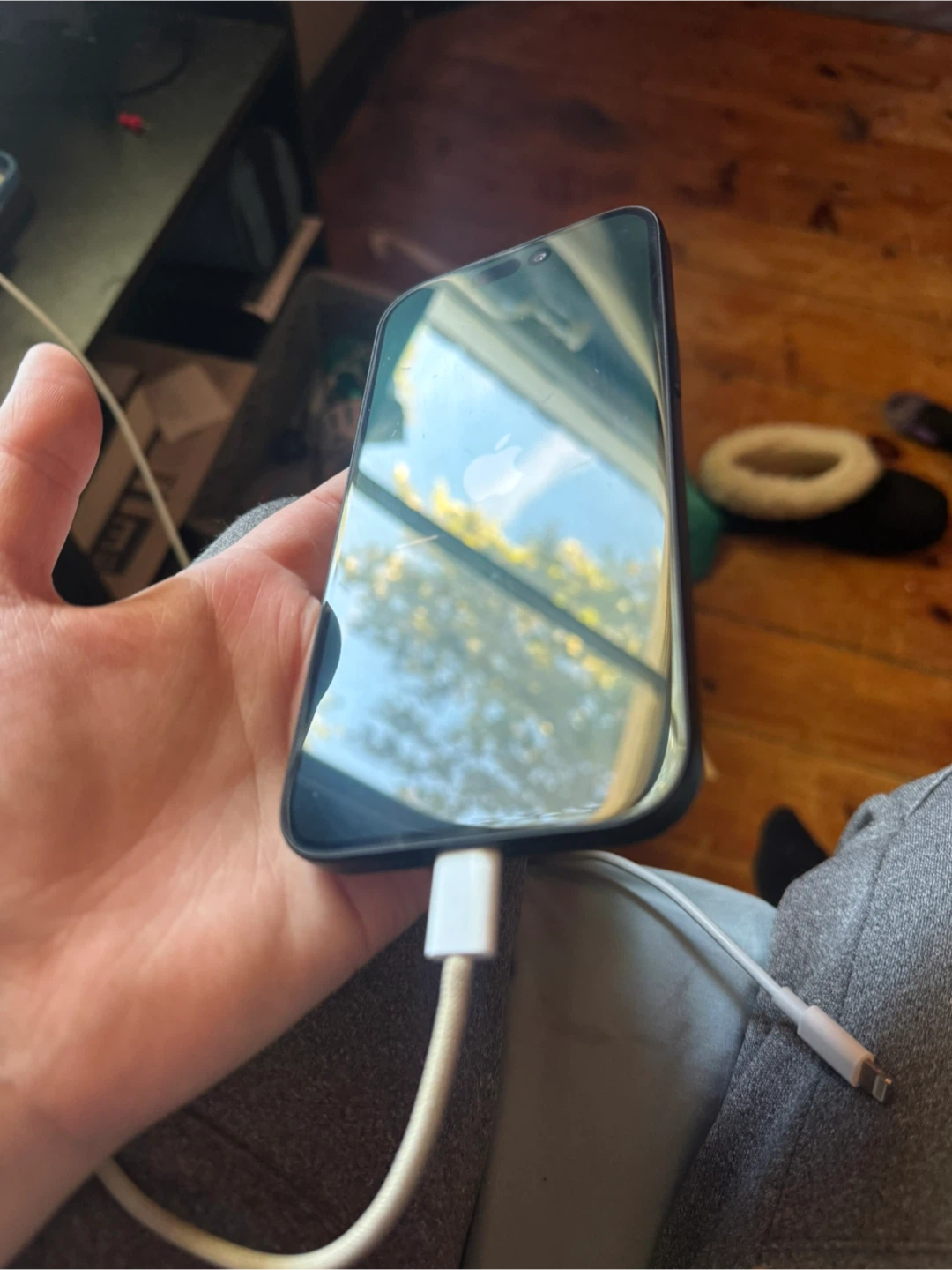 Apple iPhone 15 128 GB