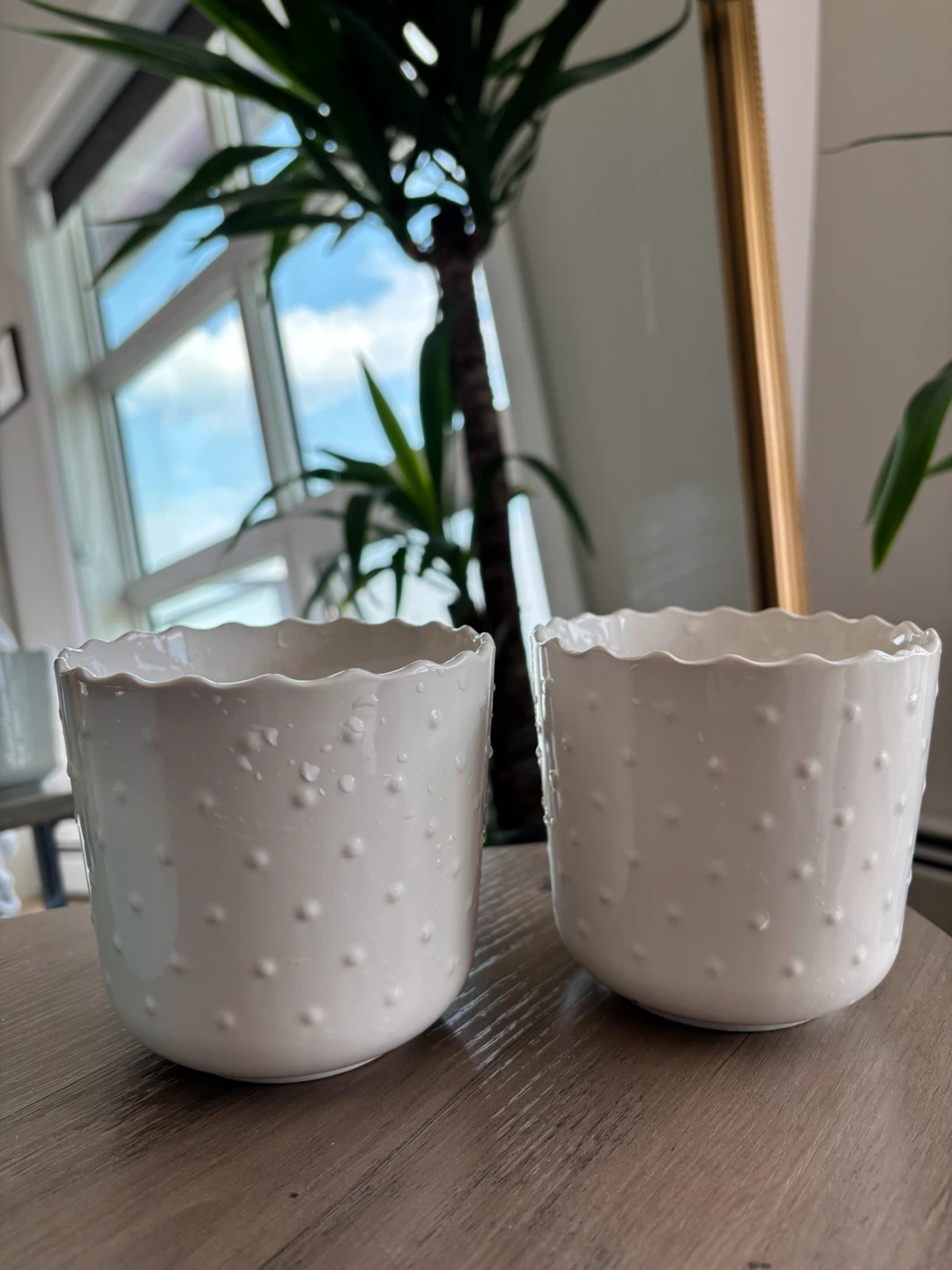 Two White Ceramic Plant Pots