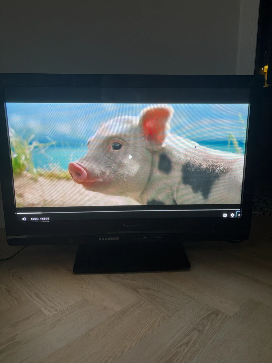 Panasonic Viera Flat Screen TV