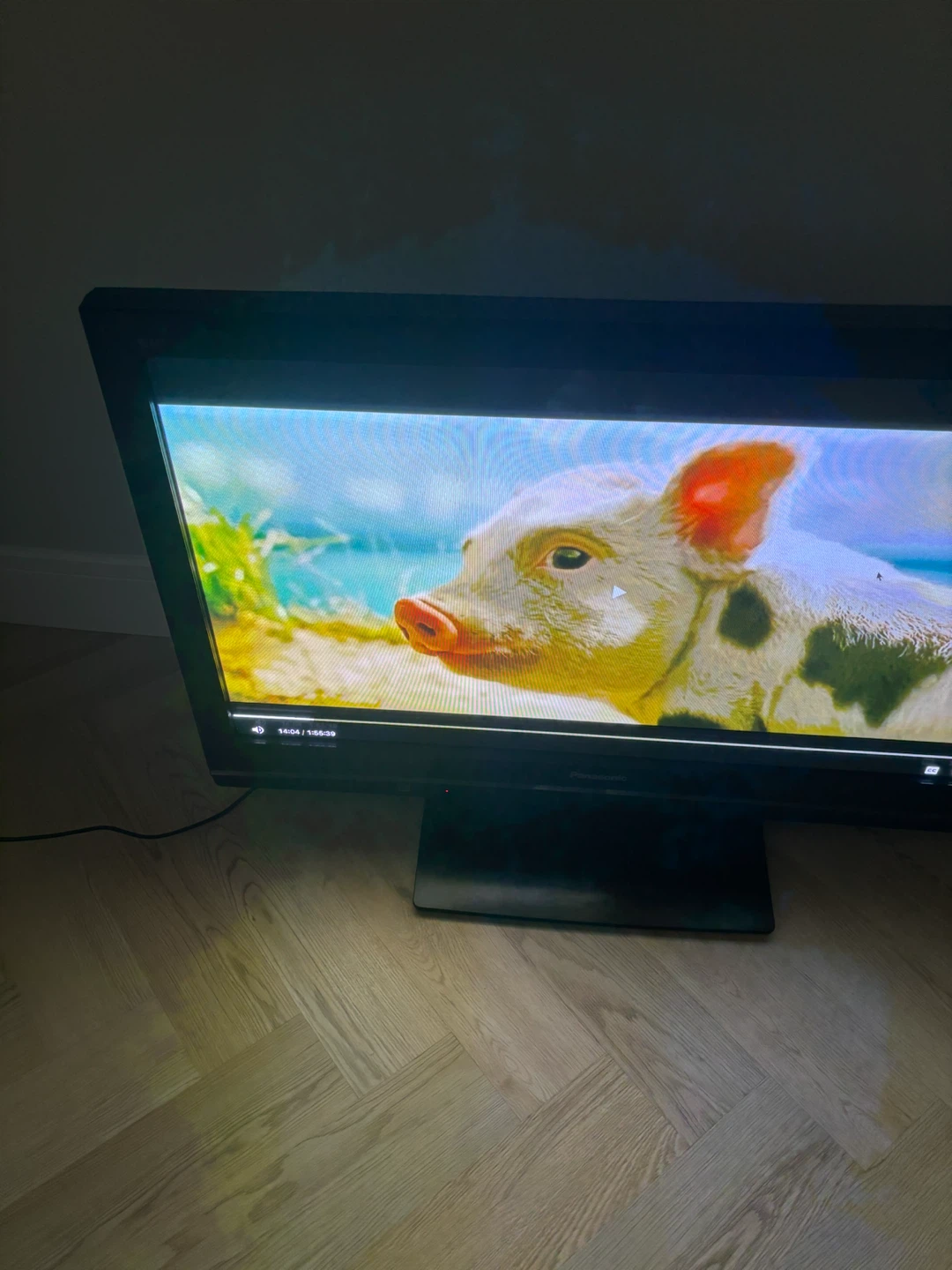 Panasonic Viera Flat Screen TV - photo 3