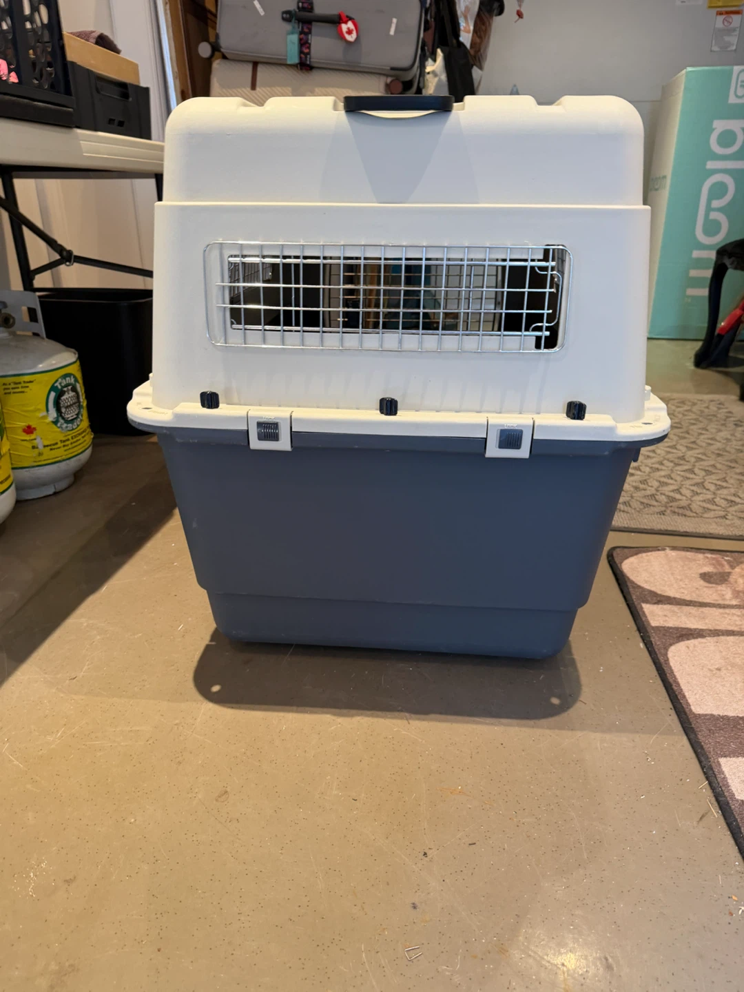 Large Hard-Sided Pet Carrier