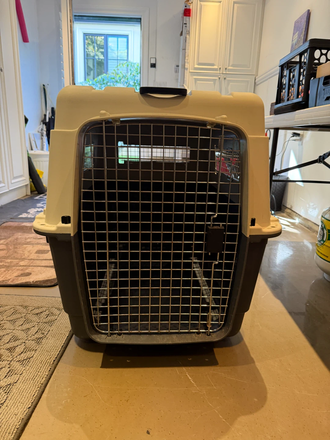Large Hard-Sided Pet Carrier - photo 2