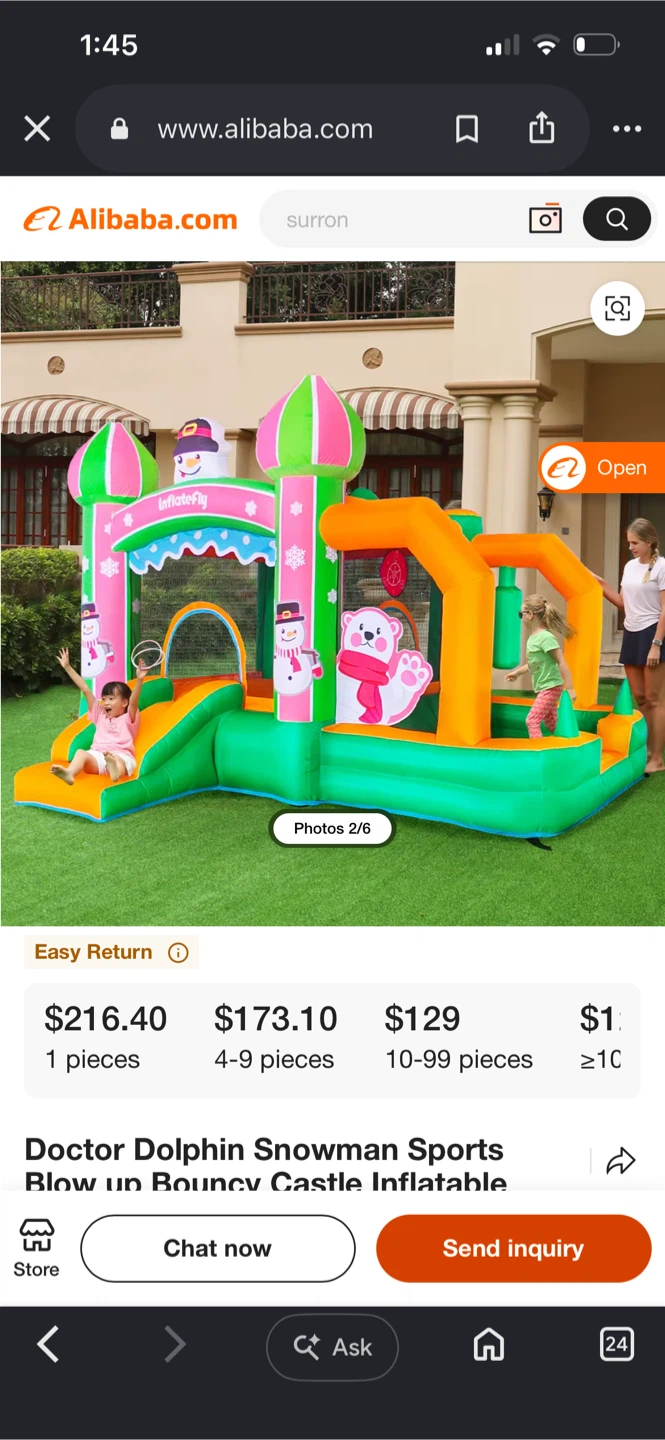Doctor Dolphin Snowman Inflatable Bouncy Castle