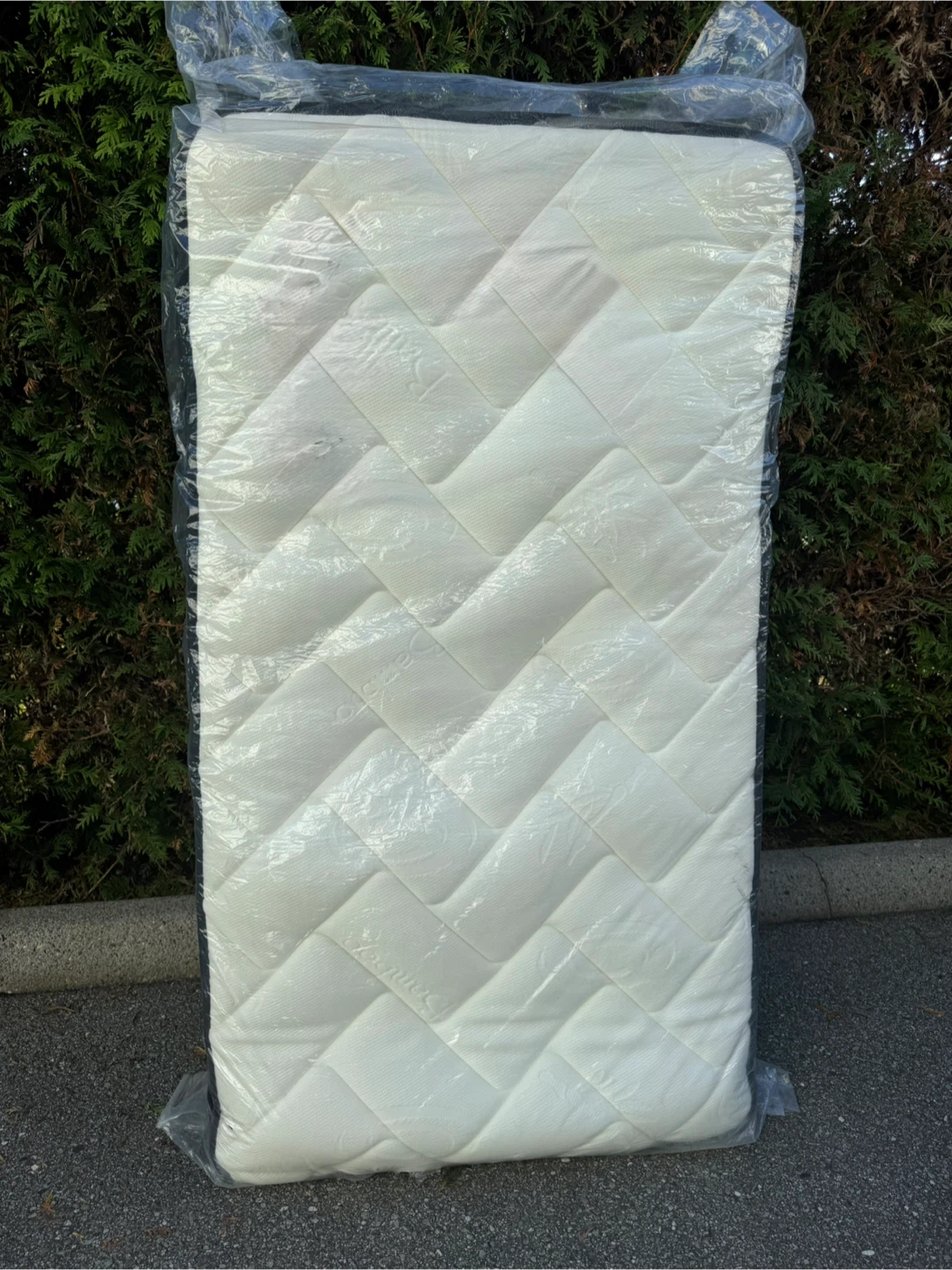 Twin size mattress (still sealed in plastic)