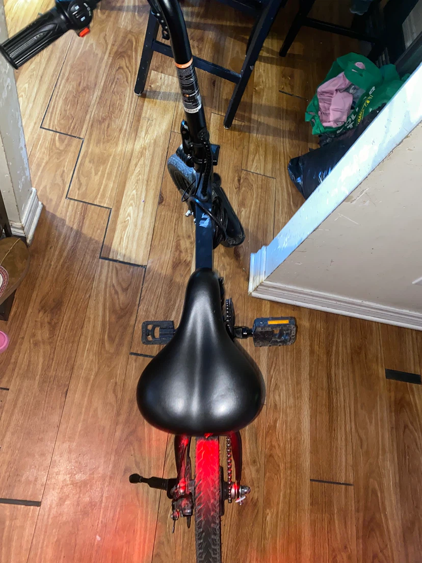 Rizz Electric Bike - photo 2