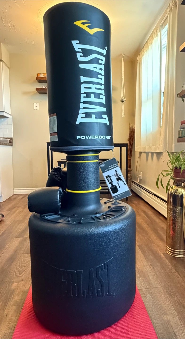 Everlast PowerCore Punching Bag and GoZone Gloves