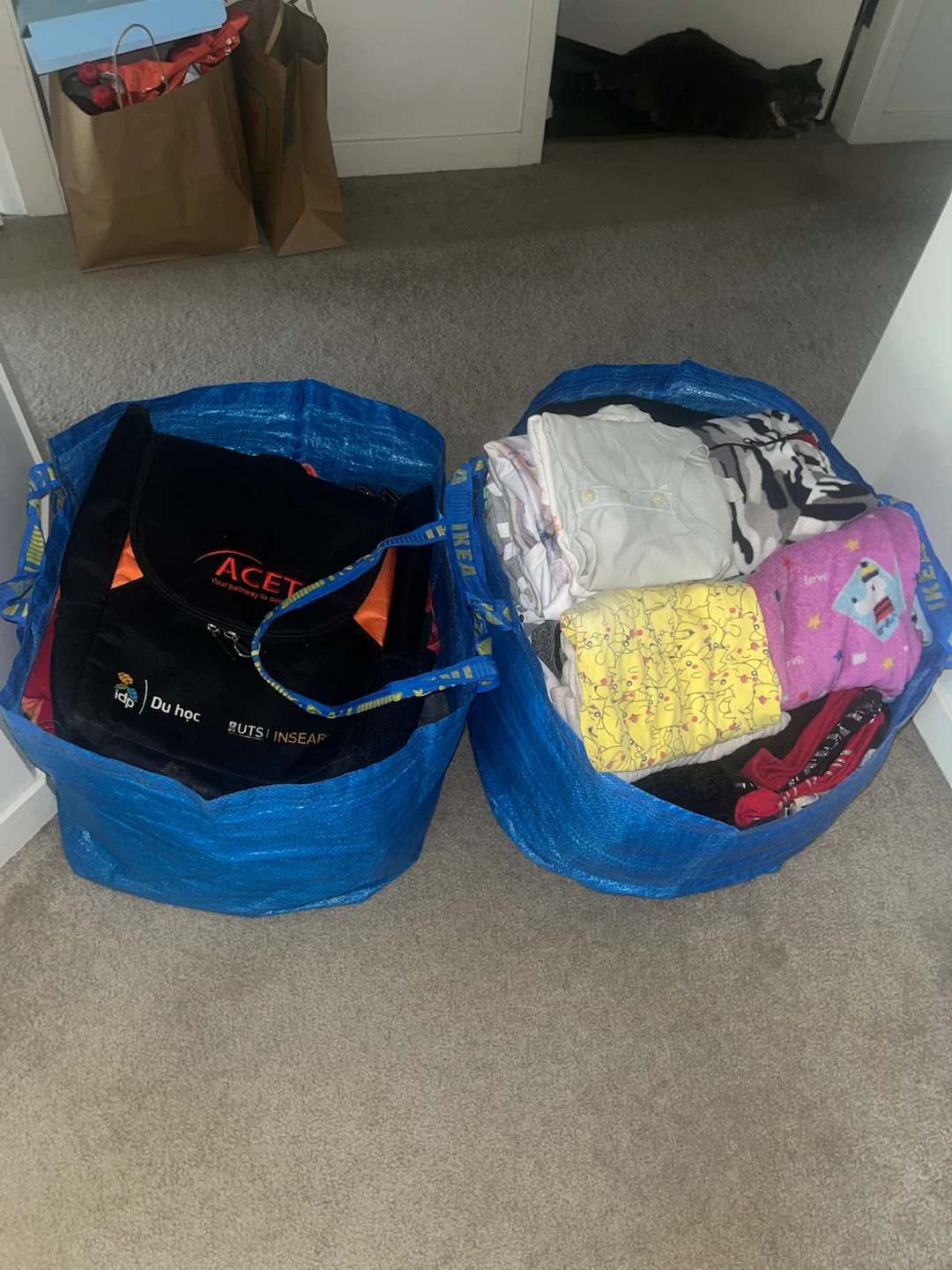Two bags full of clothes and accessories
