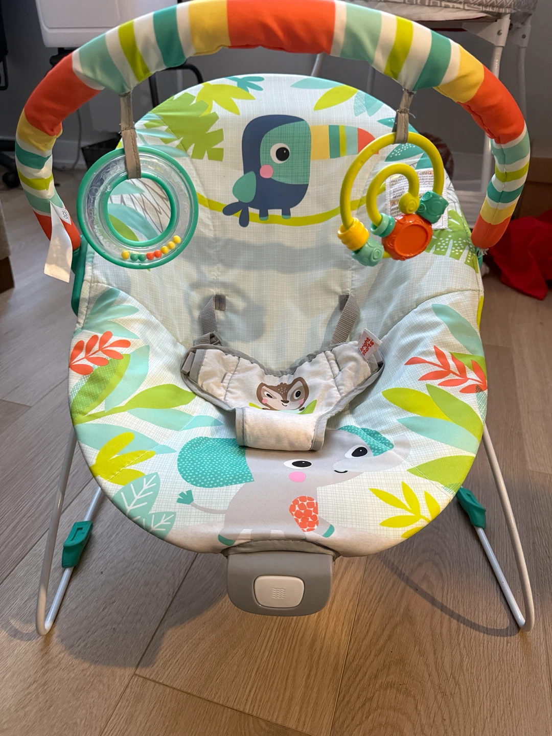 Bright Starts Baby Bouncer