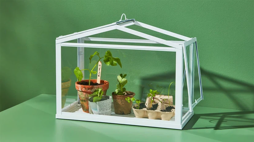 IKEA Mini Greenhouse
