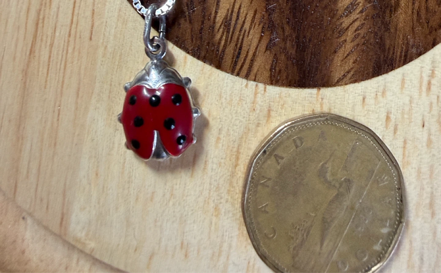 Sterling Silver Ladybug Pendant - photo 4