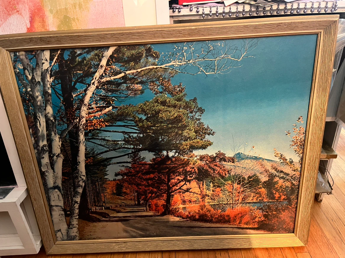 Framed Vintage MCM Landscape Photo Print, 22x28