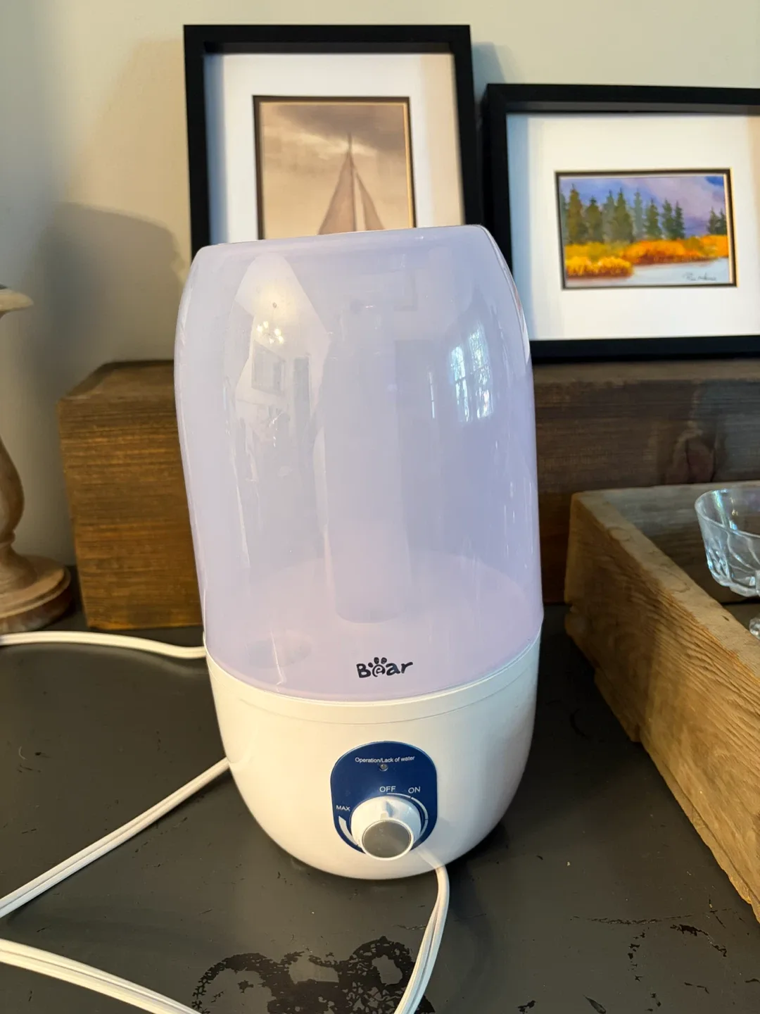 Bear Ultrasonic Humidifier 3L