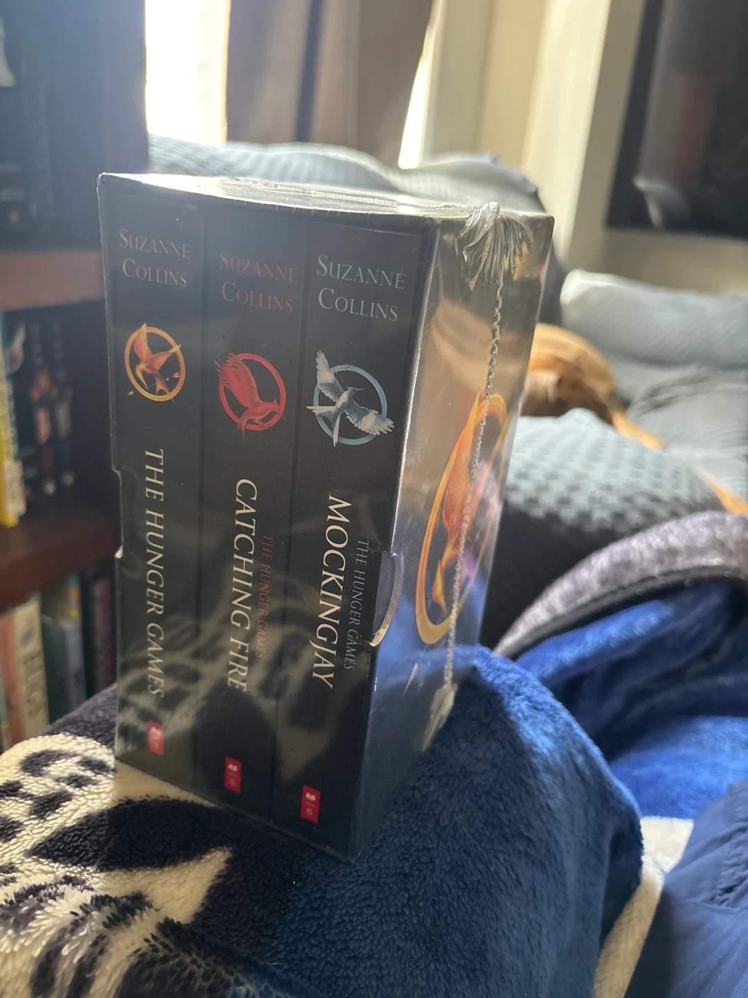 The Hunger Games Trilogy Box Set by Suzanne Collins
