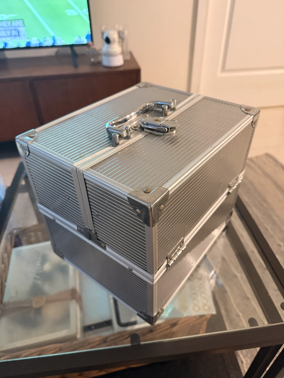 Silver makeup train case