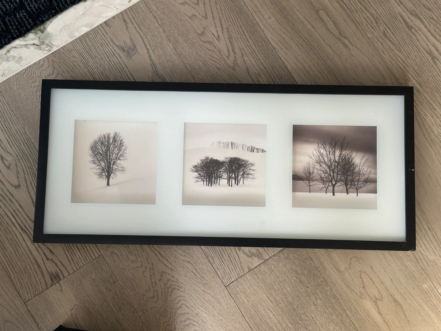 Black Framed Winter Landscape Print