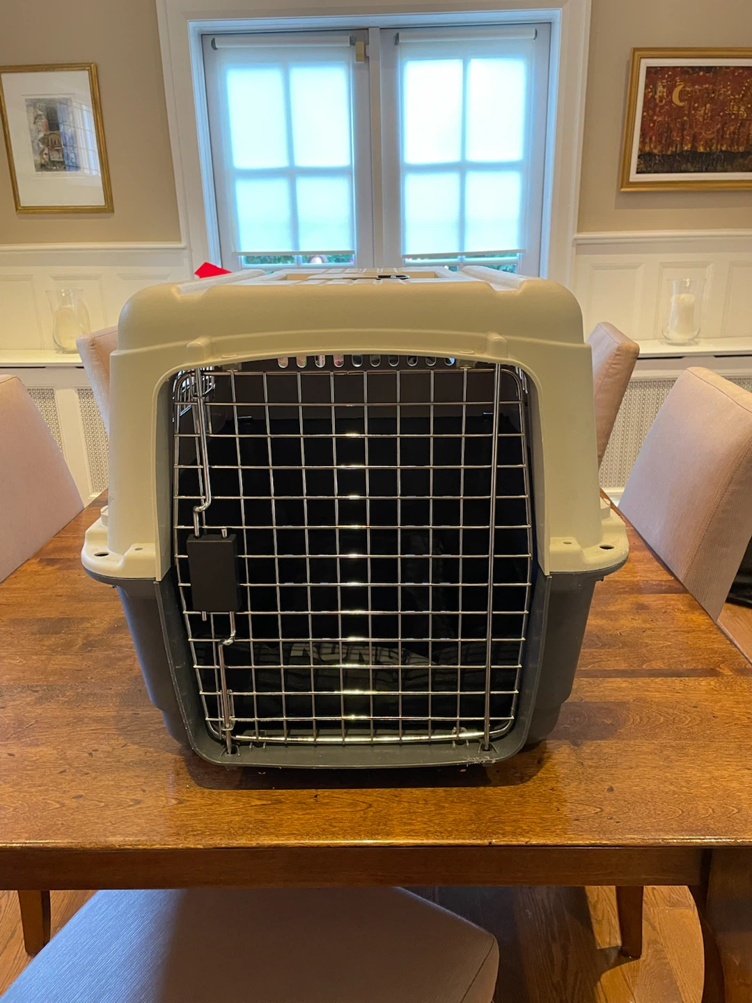 Essentials Pet Carrier