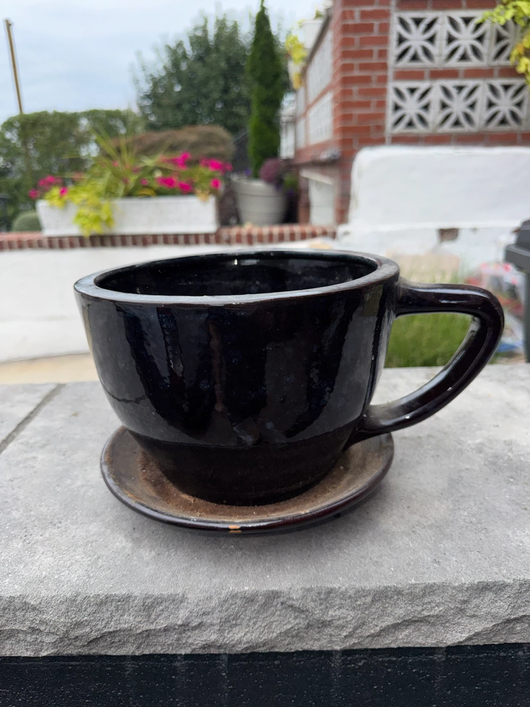 Large Ceramic Cup Planter with saucer